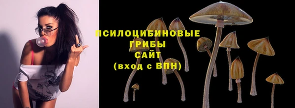 apvp Покровск