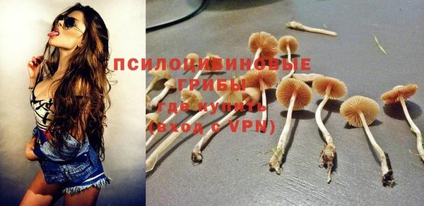 apvp Покровск