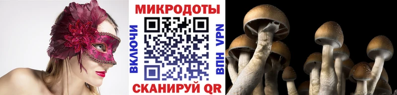 Купить закладки  Певек  Галлюциногенные грибы прущие грибы 